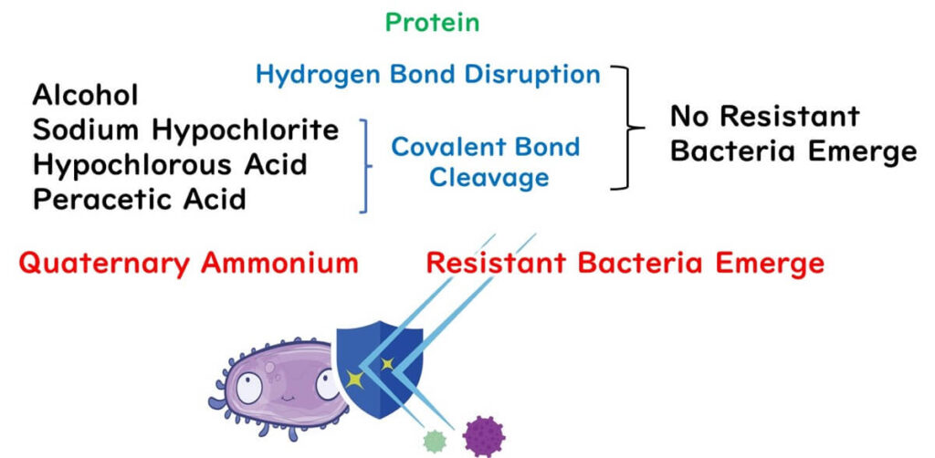 Disinfectants and resistant bacteria emergence