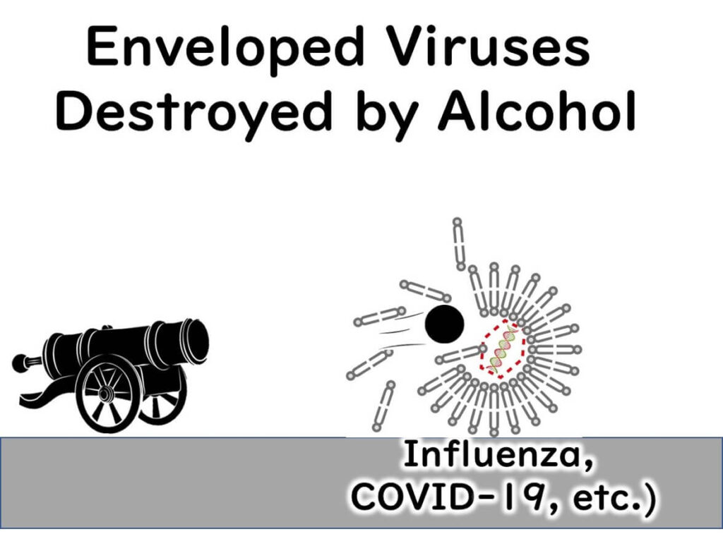 Enveloped viruses are easily disinfected by ethanol