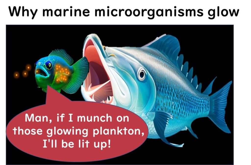 Bioluminescent marine fish and glowing plankton interaction, highlighting natural light production in marine ecosystems.