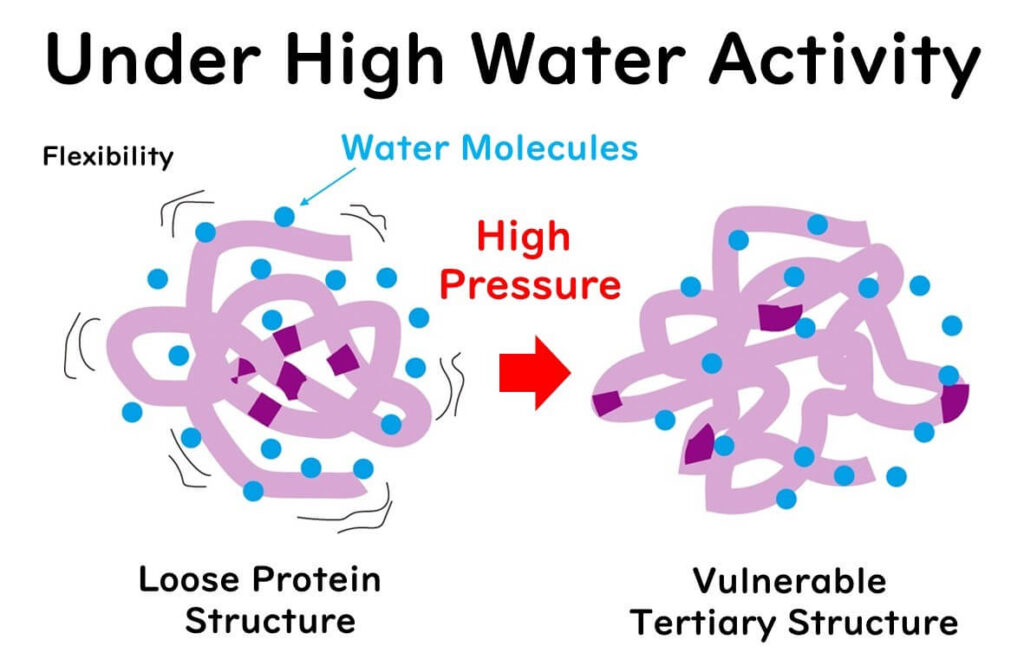 High moisture activity and high-pressure processing