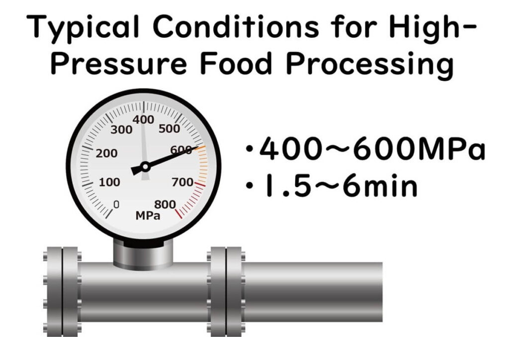 High-pressure gauge