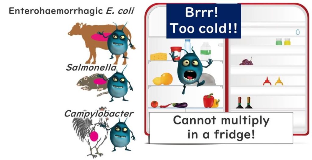 Infectious food poisoning does not grow in the fridge