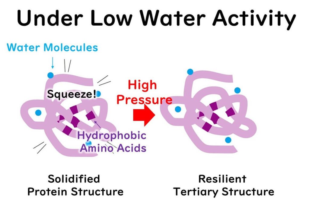 Low moisture activity and high-pressure processing