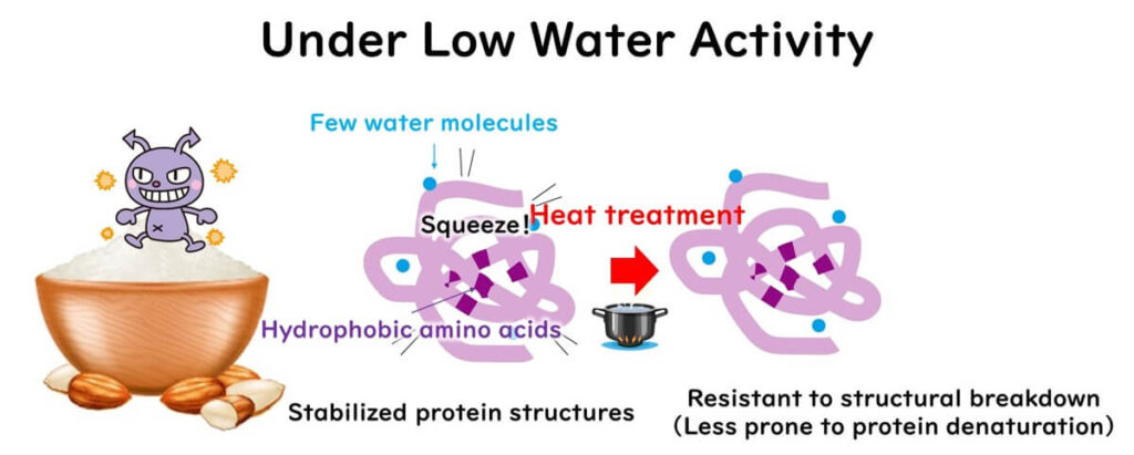 Diagram illustrating how low water activity leads to stabilised protein structures in microorganisms, making them more resistant to heat treatment and less prone to protein denaturation, with an image of a cartoon microbe and almond powder.