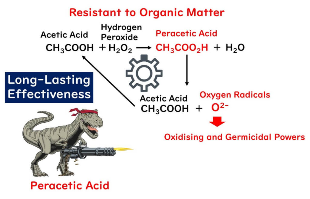 Mechanism of peracetic acid