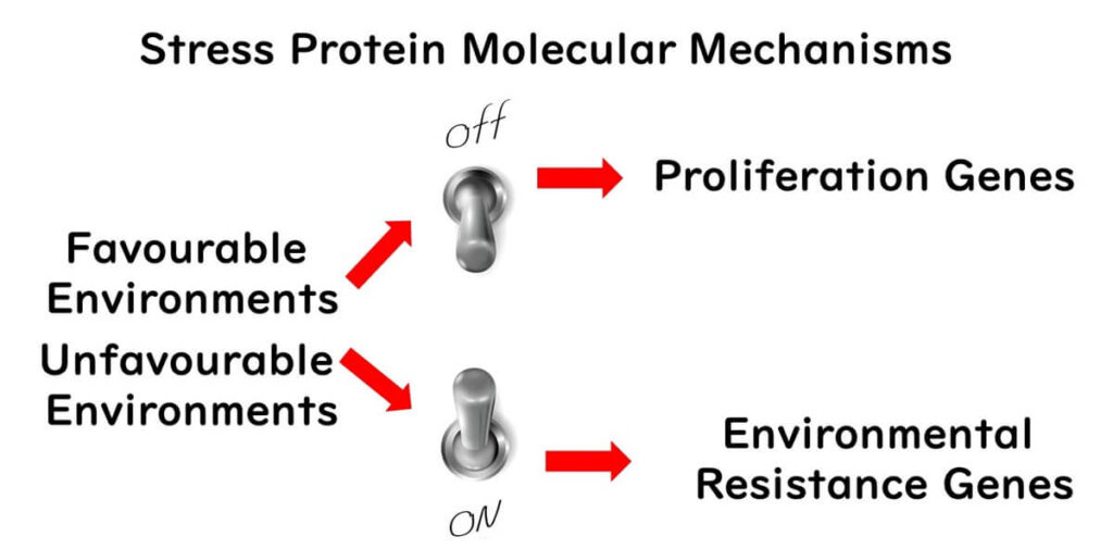 Microbial genetic switch 