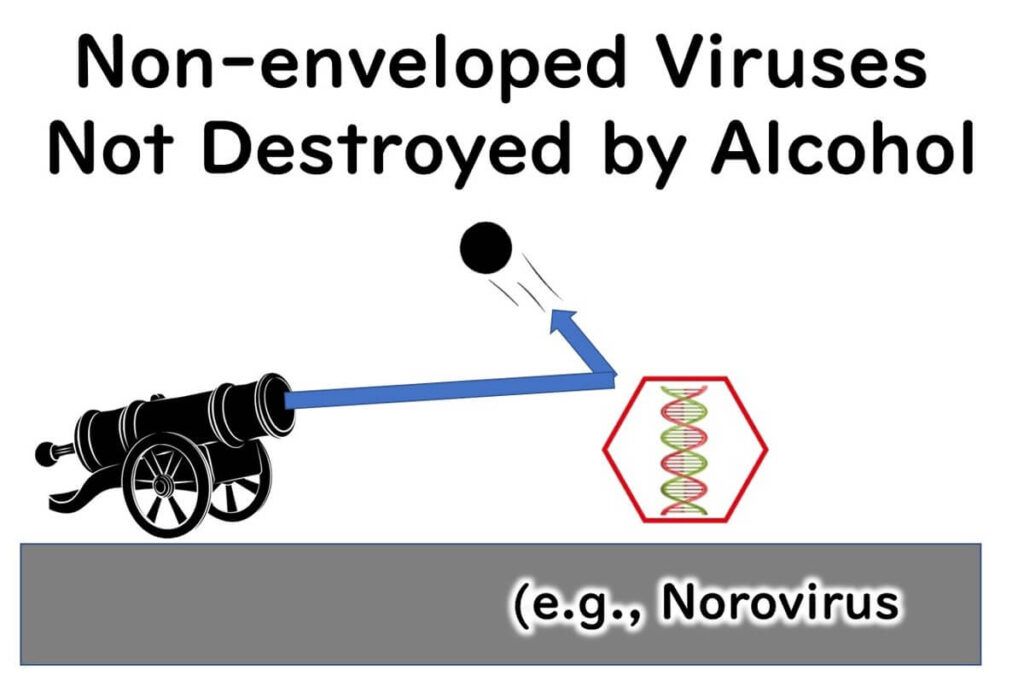 Non-enveloped-viruses-are-difficult-to-disinfect-with-ethanol