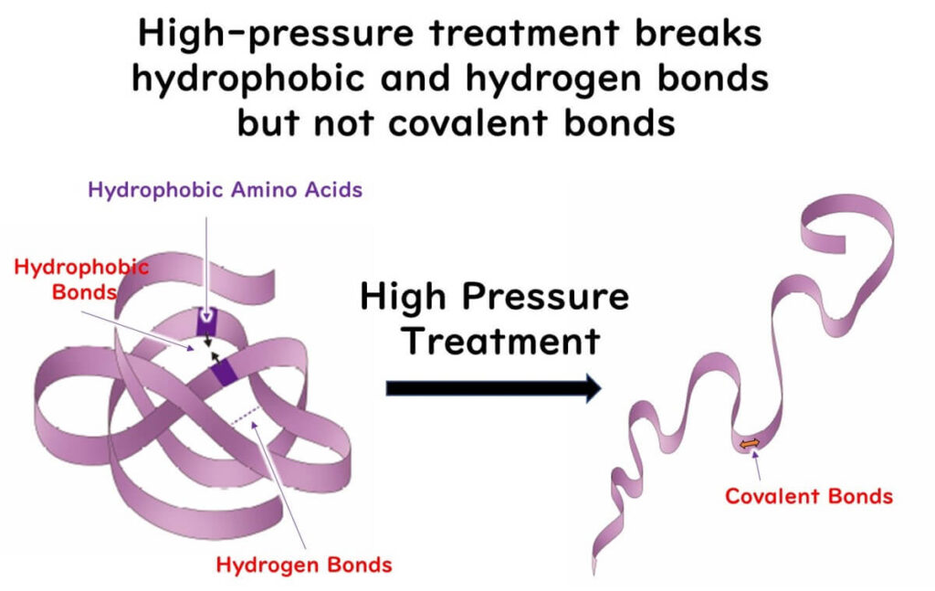 Protein denaturation at high moisture activity