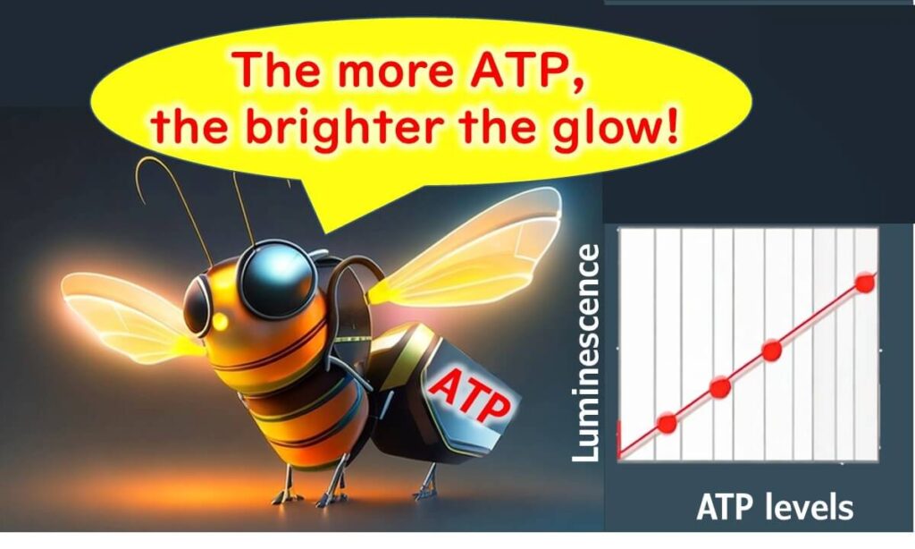 Relationship between ATP concentration and luminescence intensity using luciferase, illustrated with a glowing firefly and graph.