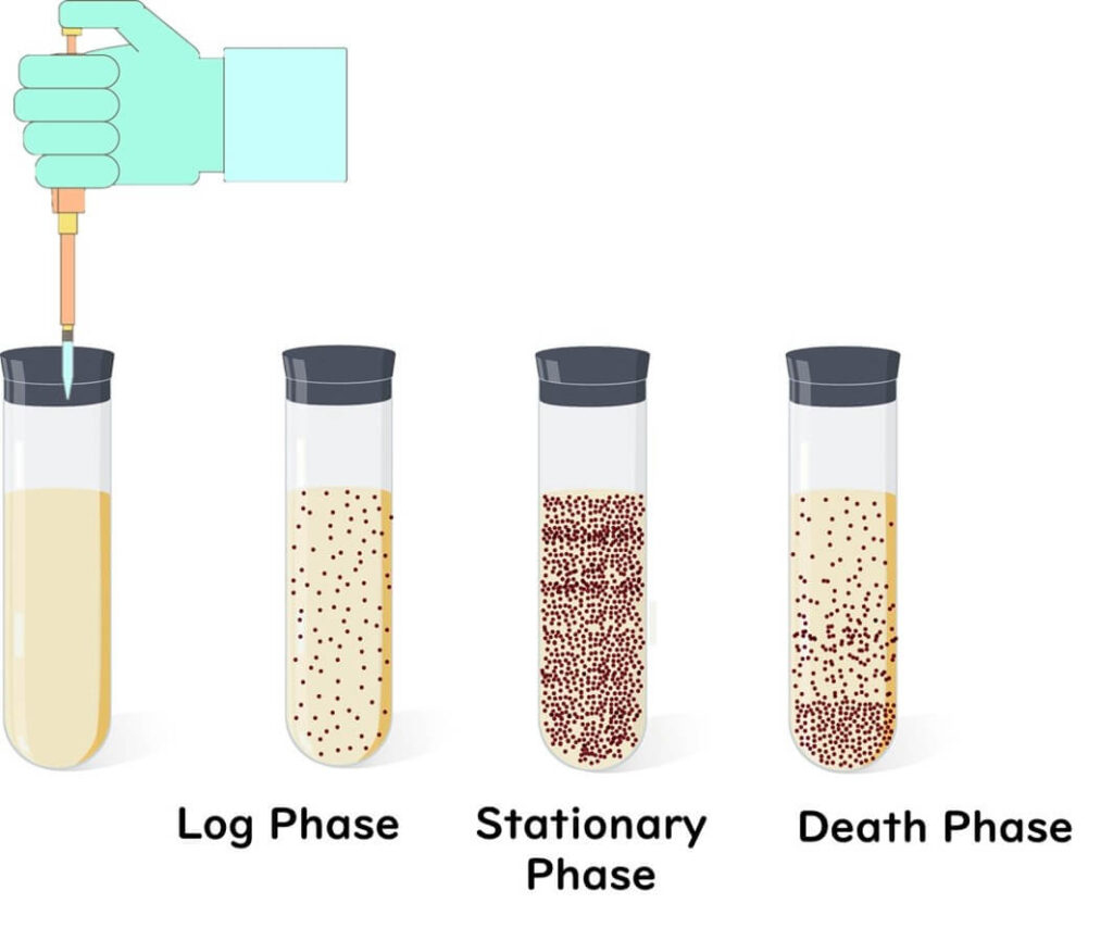 Test tube for microbial growth