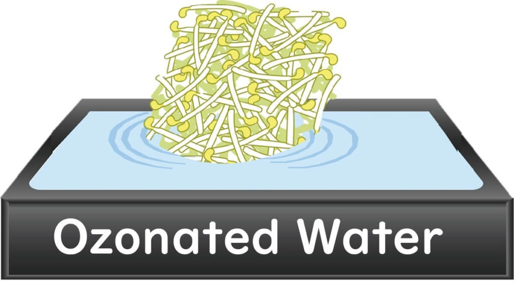 Washing sprouts with ozonated water