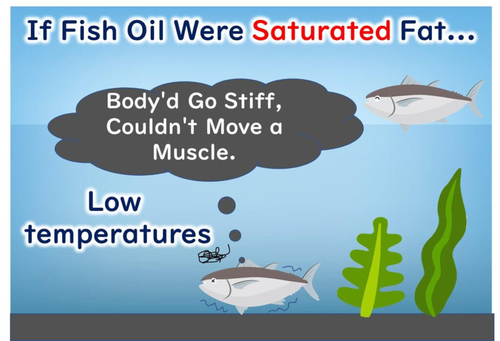 Why fish contains unsaturated fatty acids