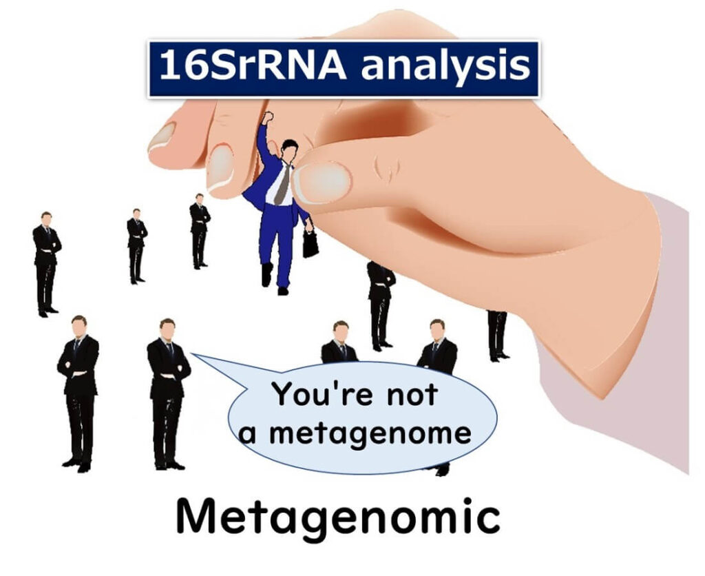 Conceptual image showing how 16S rRNA analysis differs from metagenomic sequencing, emphasizing the selection of specific bacteria.