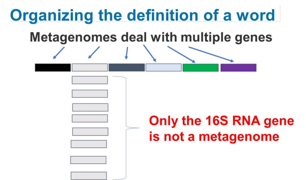 Diagram comparing metagenomics and 16S rRNA sequencing, illustrating how metagenomes involve multiple genes while 16S rRNA sequencing targets only one.