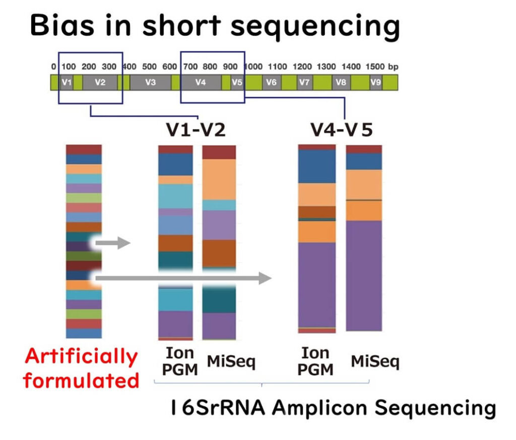 Bias in short-read 16S rRNA amplicon sequencing: Comparison of sequencing regions (V1-V2 vs. V4-V5) and platforms (Ion PGM, MiSeq) highlighting artificial formulation effects.