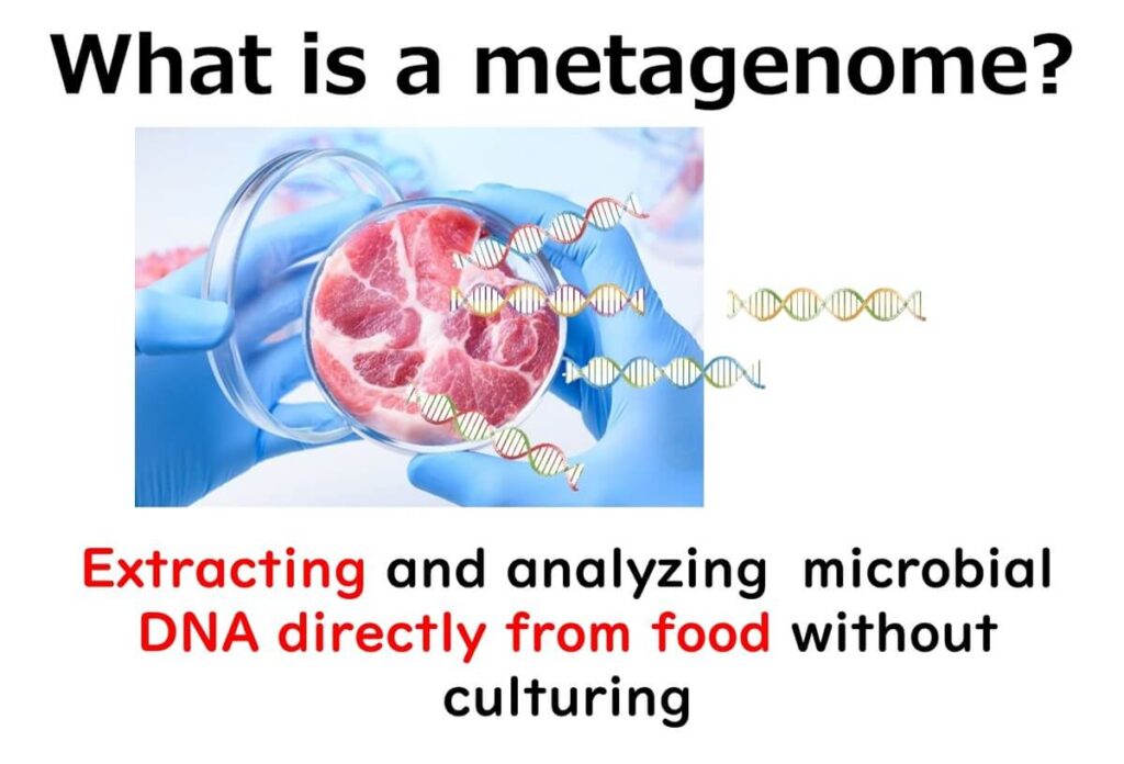 Illustration of metagenomic analysis extracting microbial DNA directly from food without culturing, highlighting 16S rRNA amplicon sequencing.