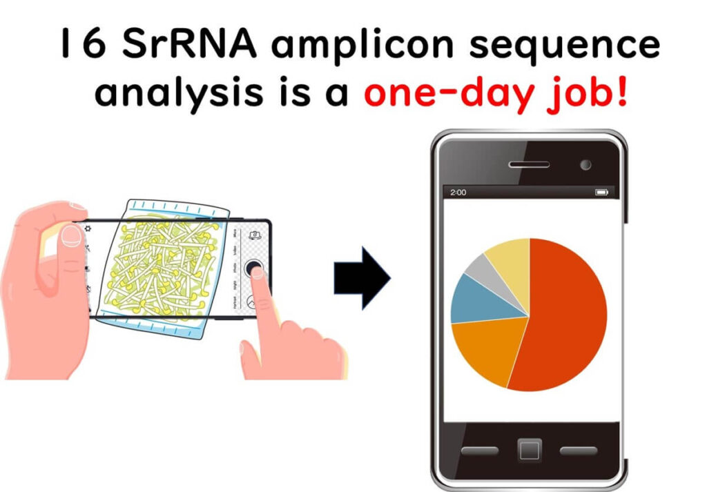 Comparison of traditional microbial culture vs. 16S rRNA amplicon sequencing, showing how sequencing provides results within a day.