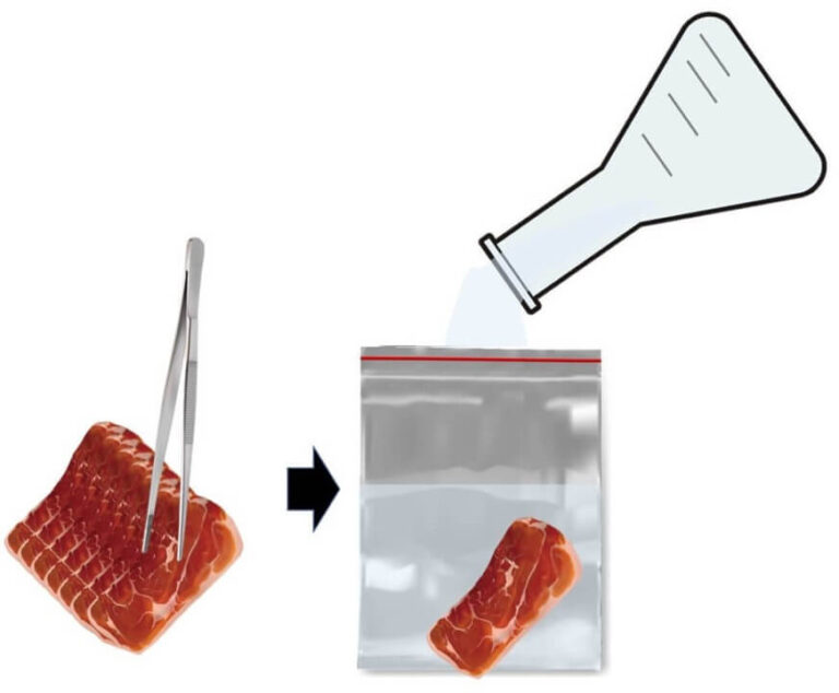 Standard Plate Count A Beginner's Guide to Measuring Bacteria in Food