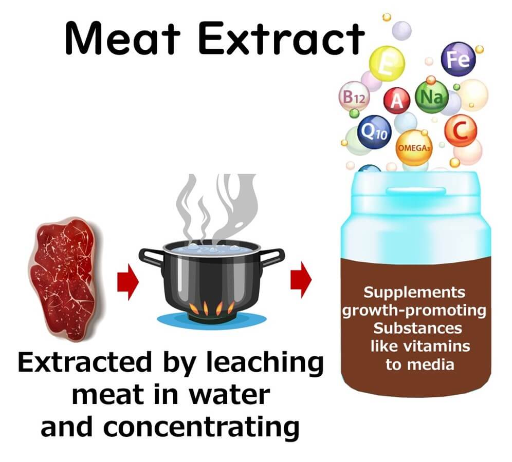 Beef extract.