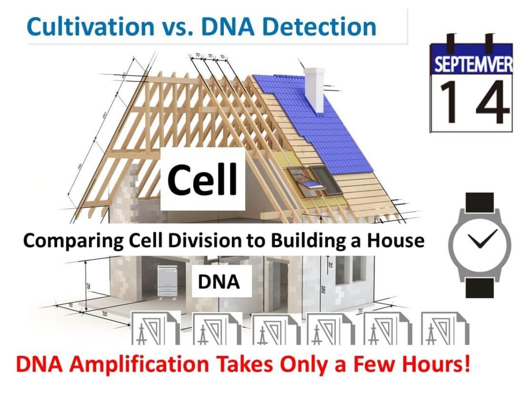 Compare cells to a house.