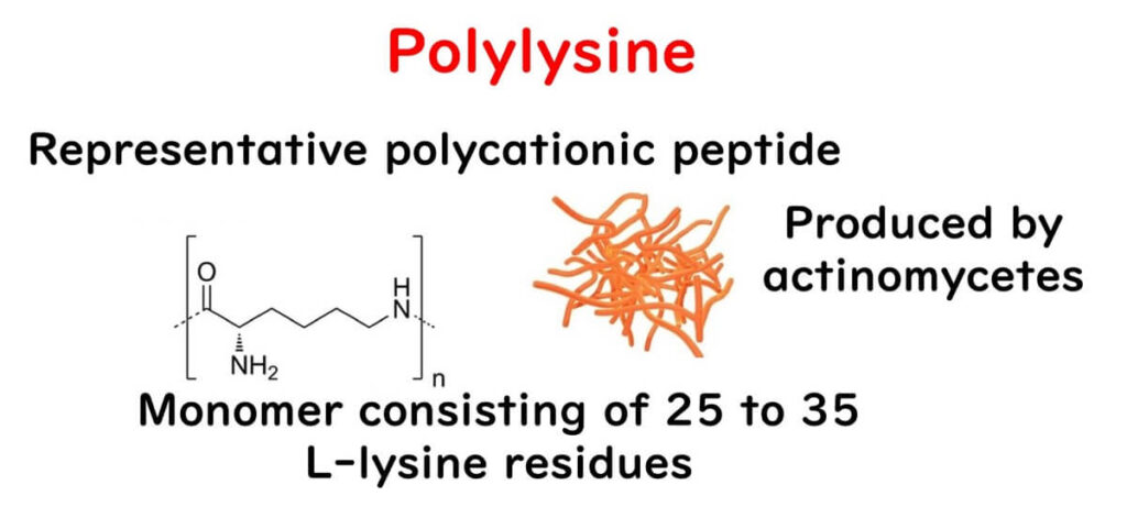 Explanation of polygins.