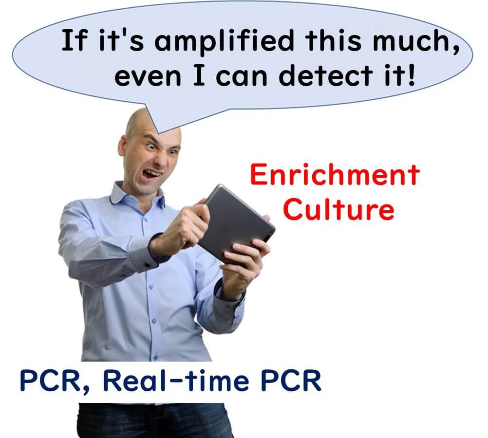 Illustration highlighting the importance of enrichment culture in increasing detection sensitivity for PCR and Real-Time PCR in food microbiology testing.