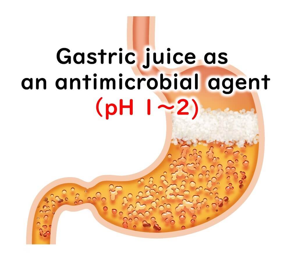 Gastric acid disinfection system