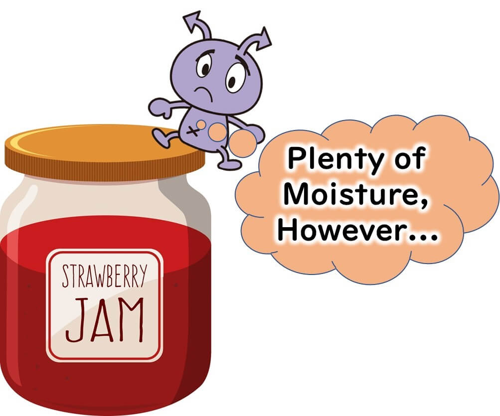 In jam, microbes cannot grow