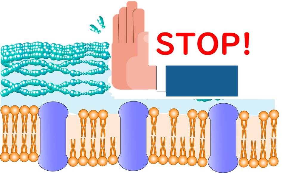 Inhibition of cell wall synthesis