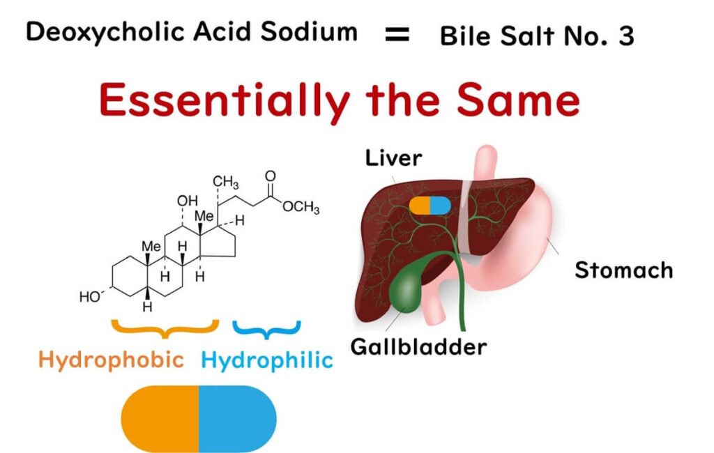 Liver and bile acids