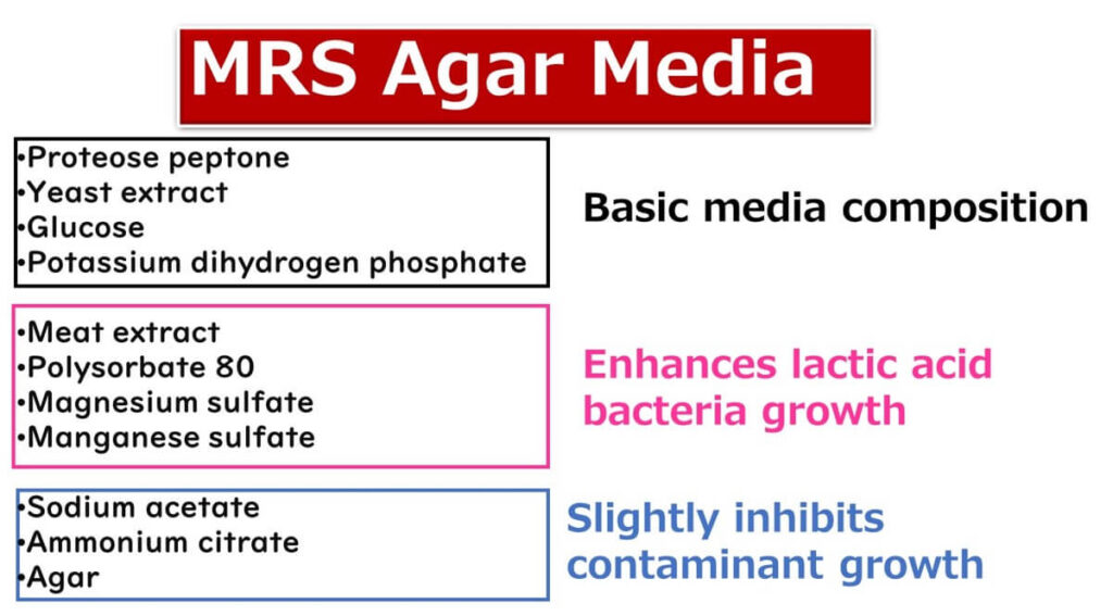 MRS agar medium.