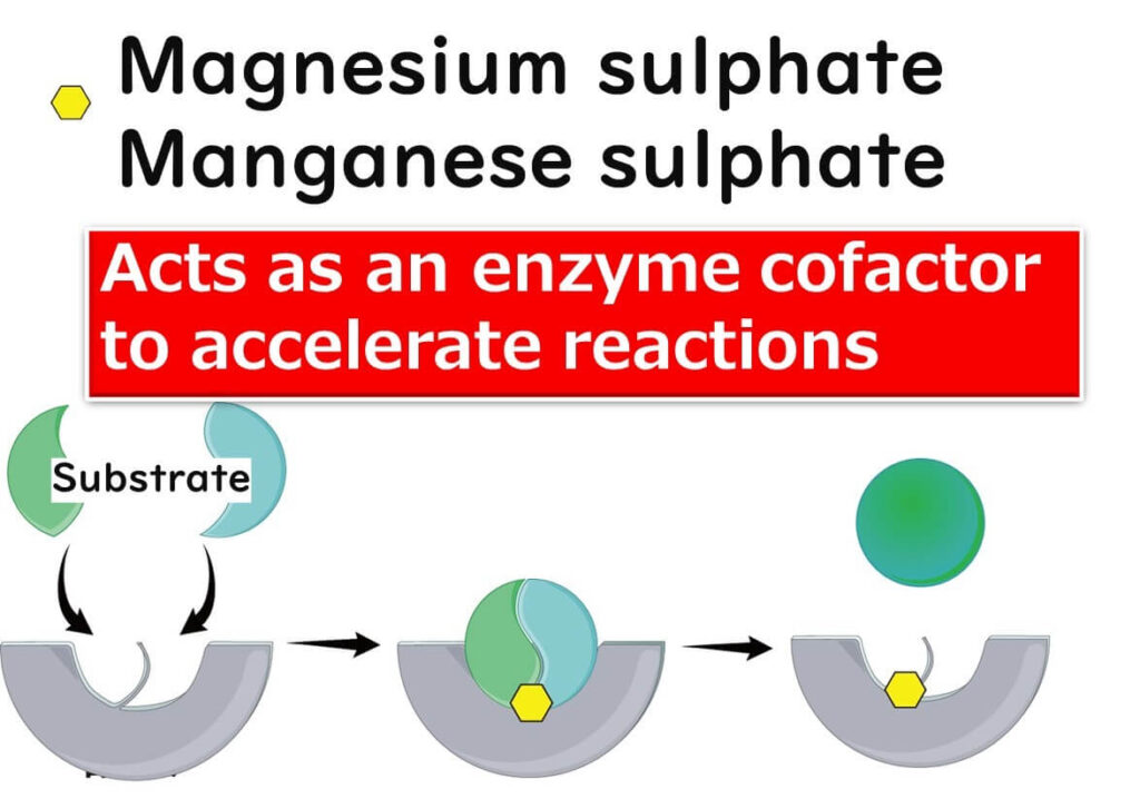 Magnesium sulfate.