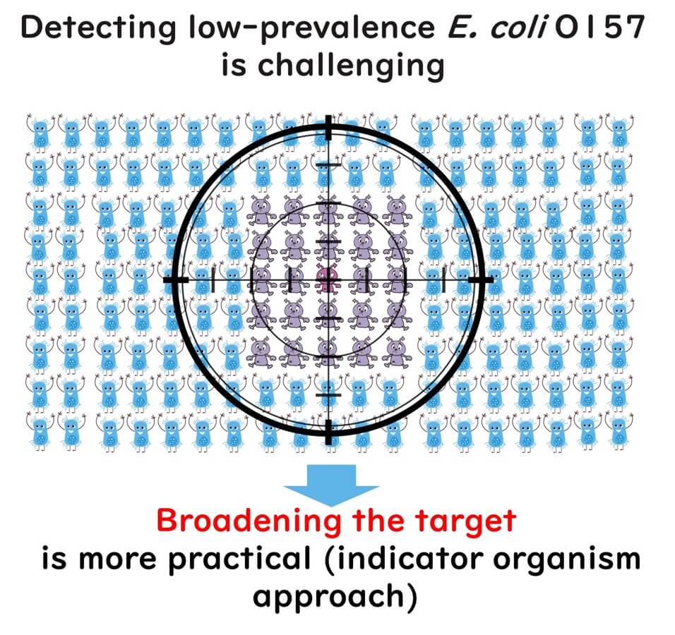 Meaning of indicator bacteria 1.