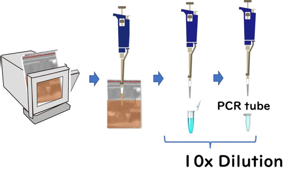 10x dilution process showing meat sample homogenization in a stomacher, pipetting steps, and PCR tube preparation for DNA extraction and foodborne pathogen testing.