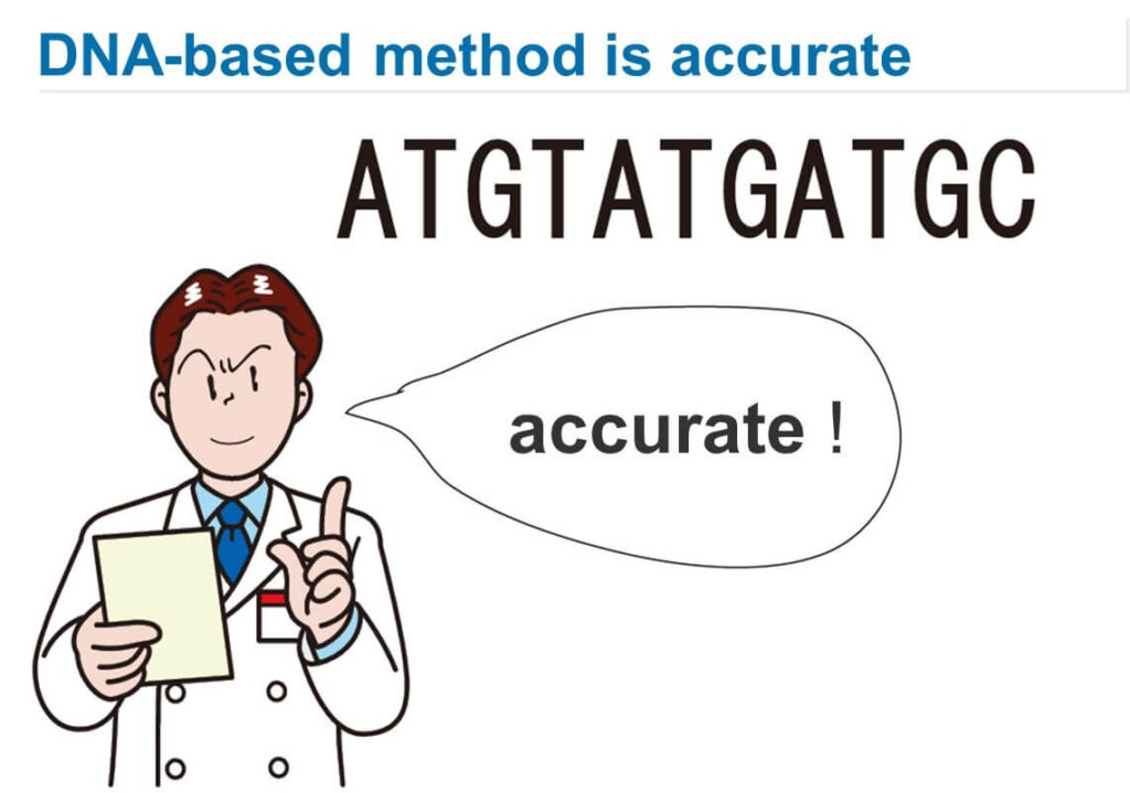 DNA-based microbial identification using sequencing: scientist verifying accuracy of nucleotide sequence (ATGTATGATGC) for bacterial strain typing.