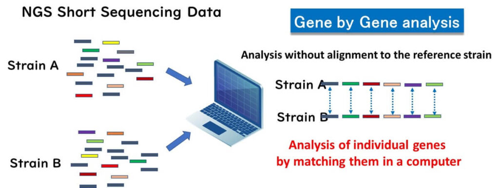 Diagram comparing NGS short sequencing data with gene-by-gene analysis, illustrating how individual genes from different bacterial strains are matched in a computer without alignment to a reference strain.