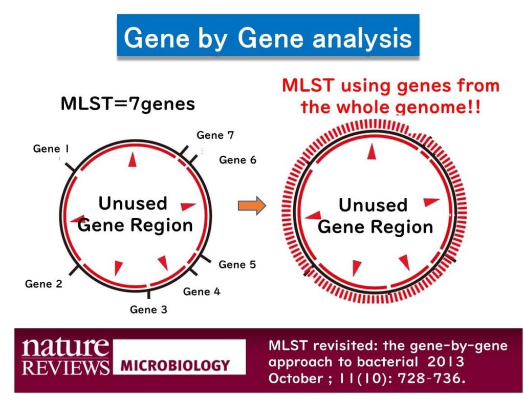 Comparison of traditional MLST using seven genes versus whole-genome MLST (wgMLST), illustrating the increased resolution by analyzing genes from the entire genome.