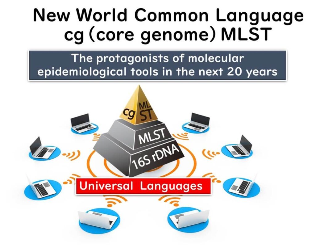 Illustration of core genome MLST (cgMLST) as a universal language in molecular epidemiology, depicting a hierarchical pyramid with 16S rDNA, MLST, and cgMLST at the top, connected to multiple computers symbolizing data sharing.