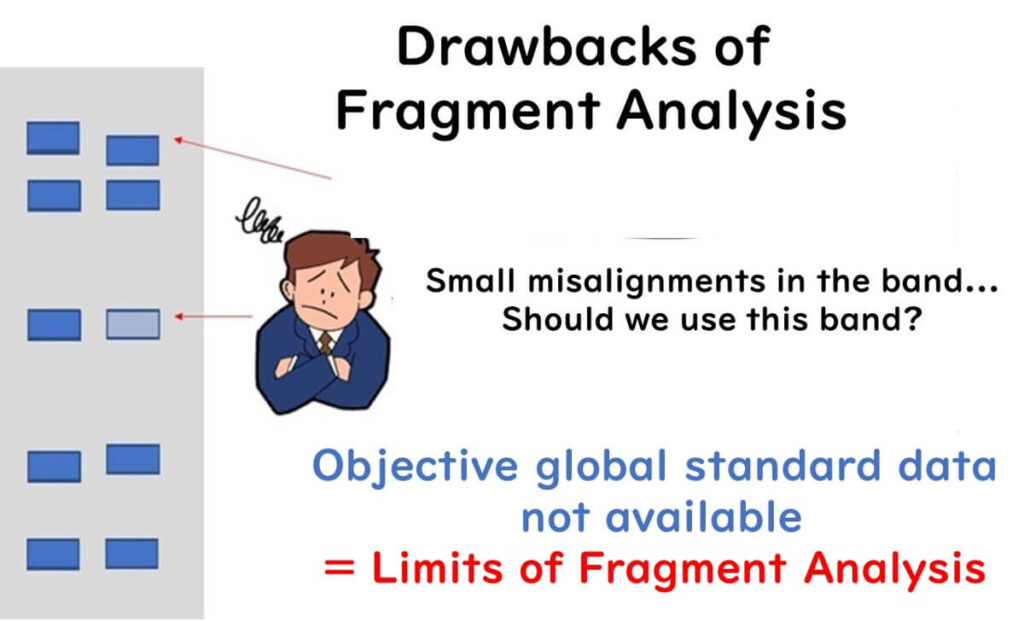 Limitations of fragment analysis in microbial typing: issues with band misalignment and lack of global standardization.