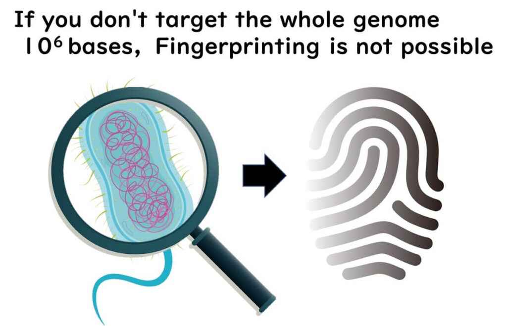 Illustration of bacterial genome fingerprinting, showing a magnified bacterium and a fingerprint, emphasizing the need for whole genome sequencing (WGS) for strain typing.