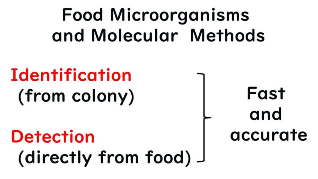 Diagram illustrating microbial identification and detection using molecular methods, highlighting identification from colonies and direct detection from food, with emphasis on speed and accuracy.