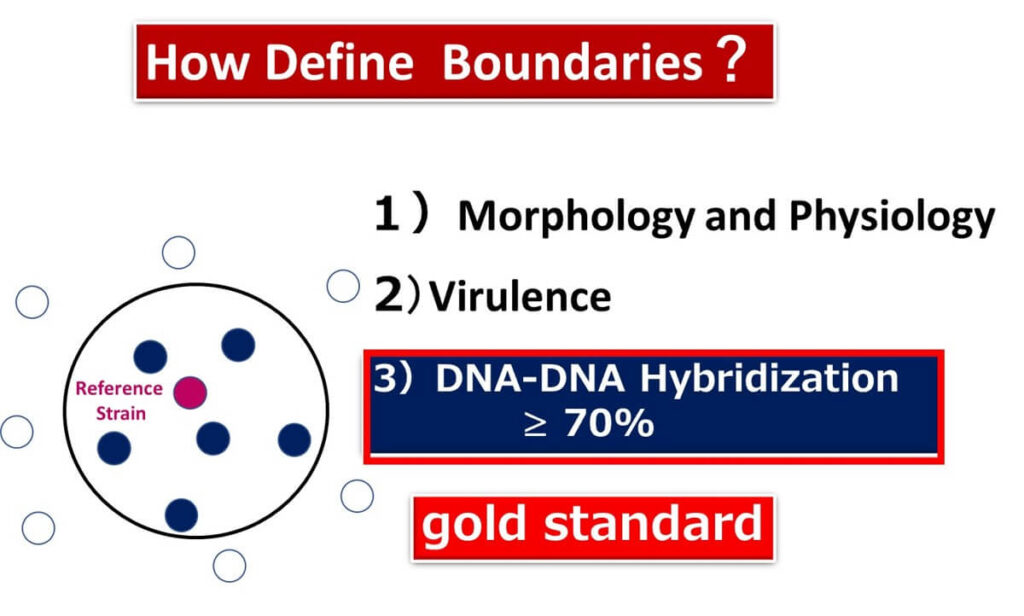 Diagram explaining methods for defining species boundaries in microbial taxonomy, highlighting morphology, physiology, virulence, and the DNA-DNA hybridization gold standard with a 70% threshold.