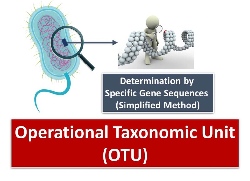 Illustration of microbial identification using specific gene sequences, highlighting the determination of Operational Taxonomic Units (OTUs) through simplified molecular methods.