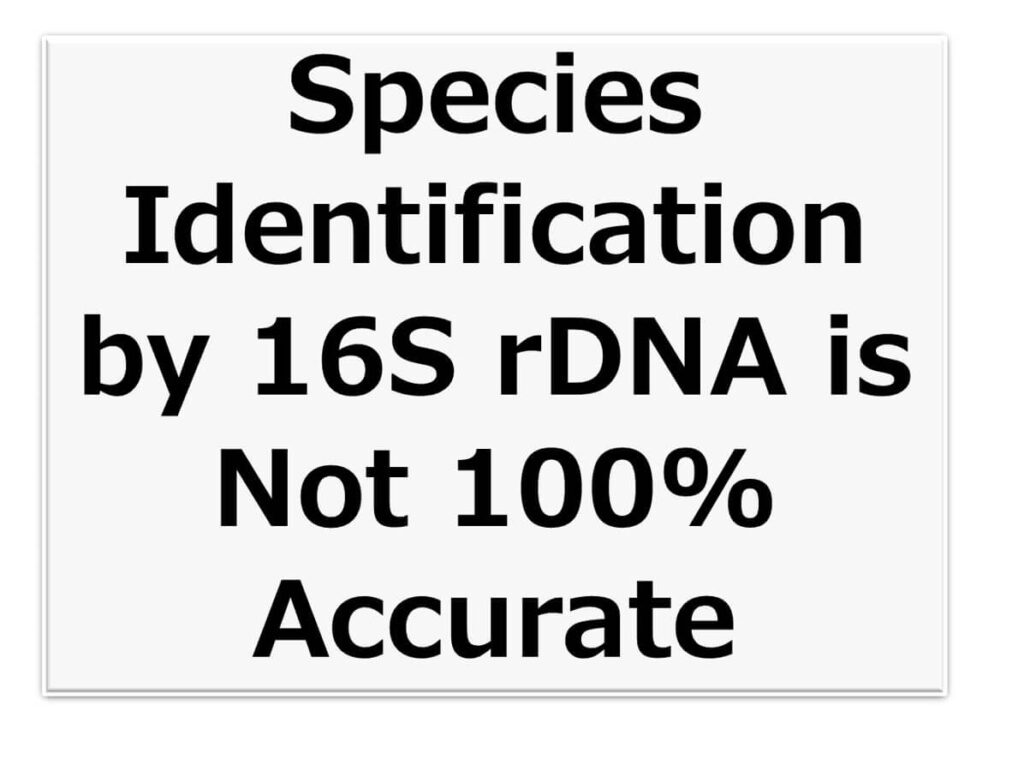 ext highlighting the limitations of bacterial species identification using 16S rDNA, stating that the method is not 100% accurate.