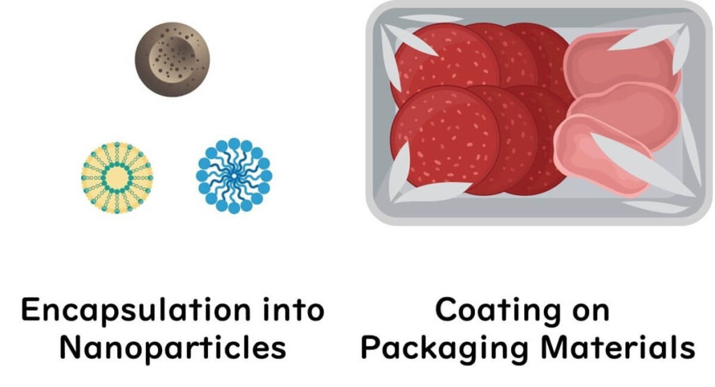 Nisin's application in food packaging