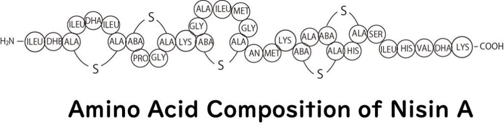 Nisin's-chemical-structure