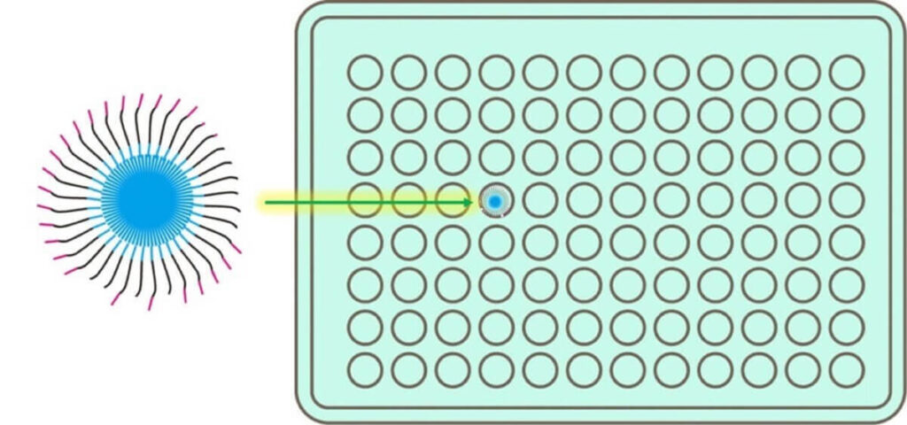 DNA bead-based sequencing in a 96-well plate, illustrating targeted sequencing reaction setup in next-generation sequencing (NGS).