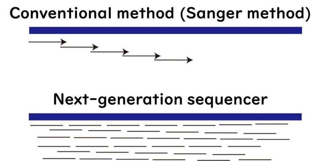 Comparison of Sanger sequencing and next-generation sequencing (NGS). The diagram illustrates how Sanger sequencing processes long DNA fragments sequentially, while NGS parallelizes short-read sequencing for higher speed and efficiency.