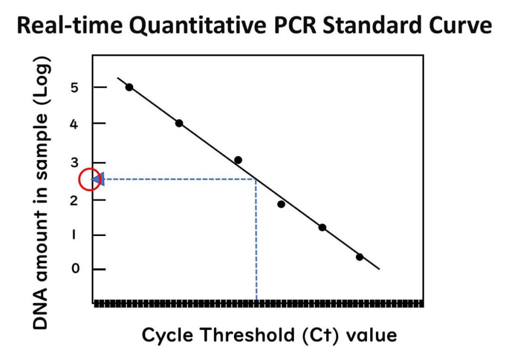 Real-time PCR standard curve illustrating the relationship between Ct value (cycle threshold) and logarithmic DNA concentration, used for DNA quantification in samples.