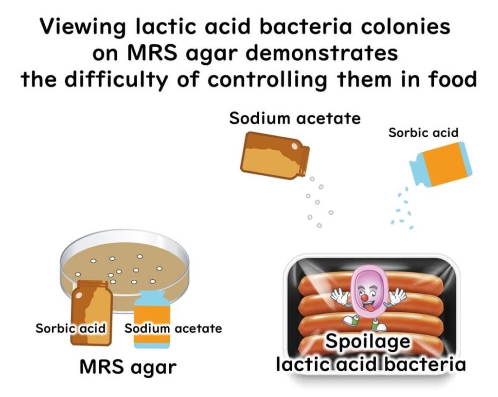 Sodium acetate as a food preservative.